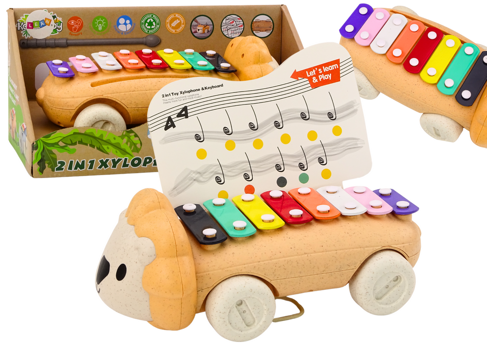 Instrumento pratos leão com rodas educativo