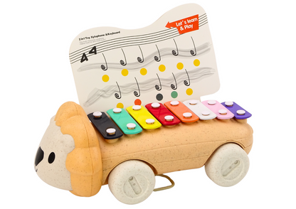 Instrumento pratos leão com rodas educativo