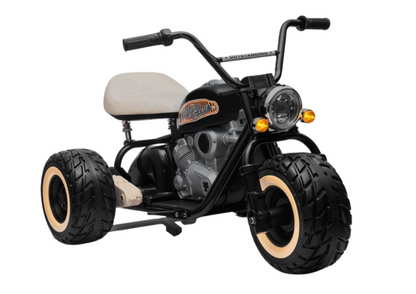 Triciclo elétrico LL6688 preto 24V