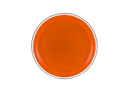 Frisbee dinossauro laranja 20cm