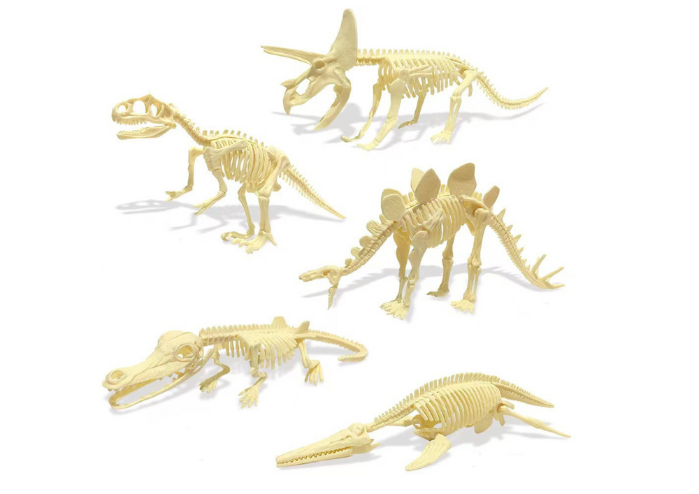 Kit arqueologia ovo dinossauro fósseis