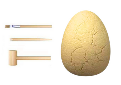 Kit arqueologia ovo dinossauro fósseis