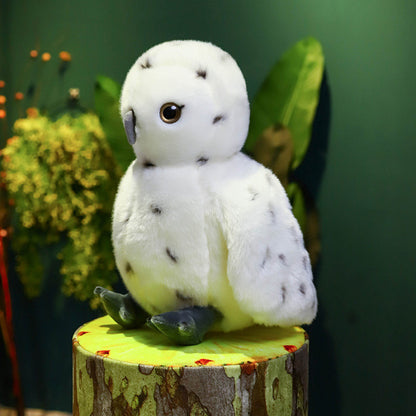 Peluche Coruja Branca 23cm