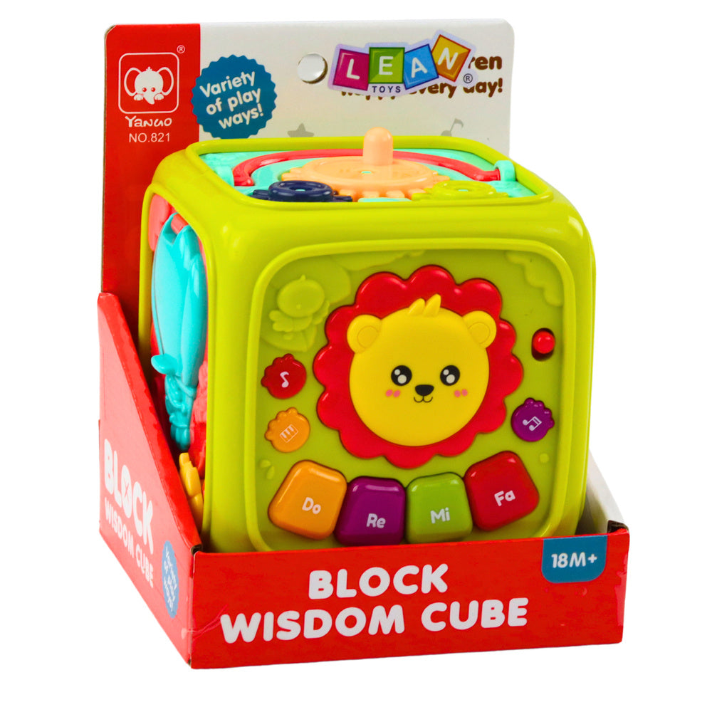 Cubo Educativo Interativo Leão Verde