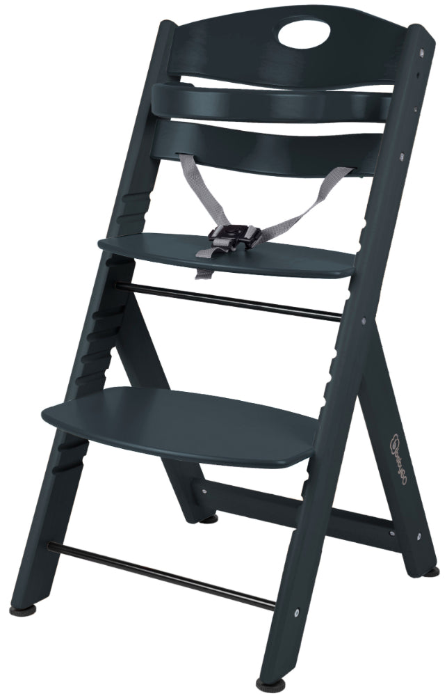 Cadeira Mutifunções babyGO Family XL Black