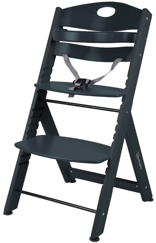 Cadeira Mutifunções babyGO Family XL Black