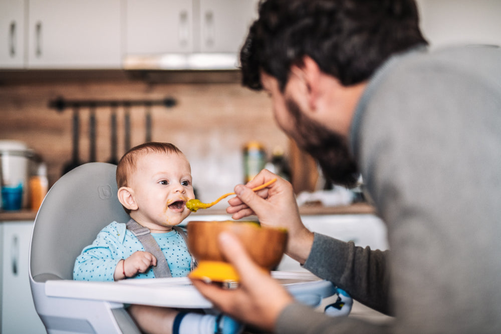 Cadeira Da Papa babyGO Highchair Skandi Green