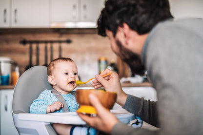 Cadeira Da Papa babyGO Highchair Skandi Green