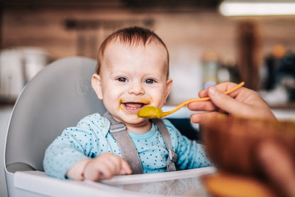 Cadeira Da Papa babyGO Highchair Skandi Green
