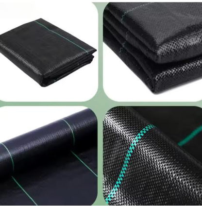 Proteção natural de ervas daninhas 1x50m, 70 g/m2