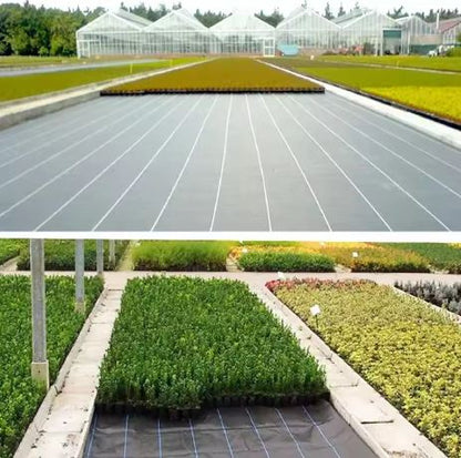Proteção natural de ervas daninhas 1,6 x 50 m, 90 g/m2