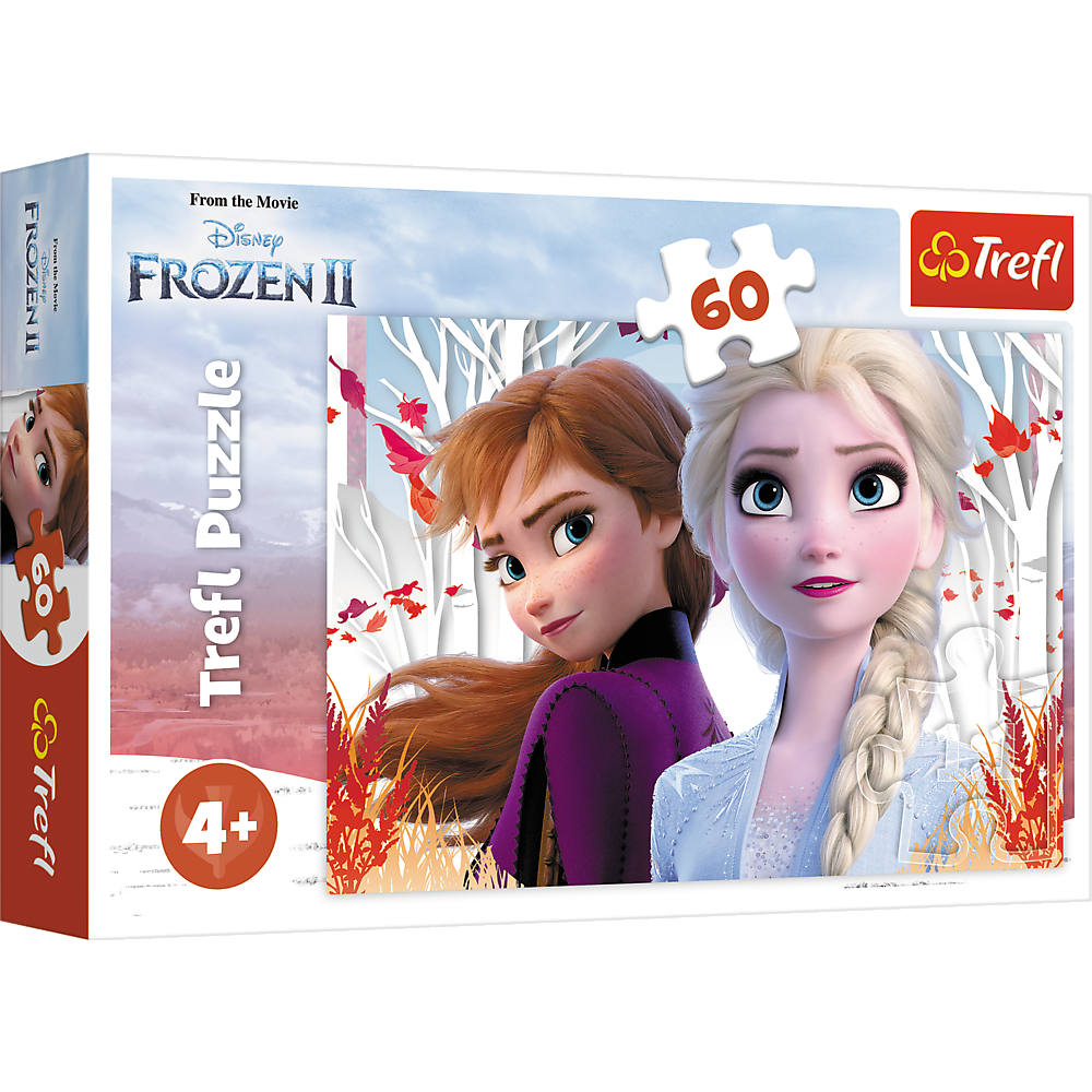 Puzzle Frozen Anna Elsa 60pcs