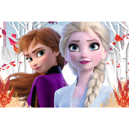 Puzzle Frozen Anna Elsa 60pcs