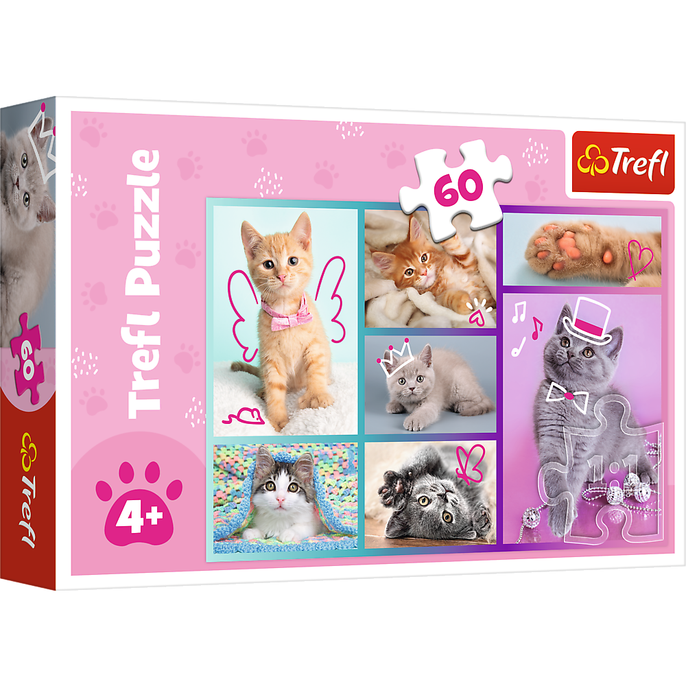 Puzzle Gatinhos 60pcs