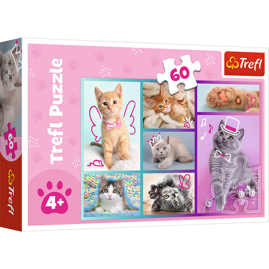 Puzzle Gatinhos 60pcs