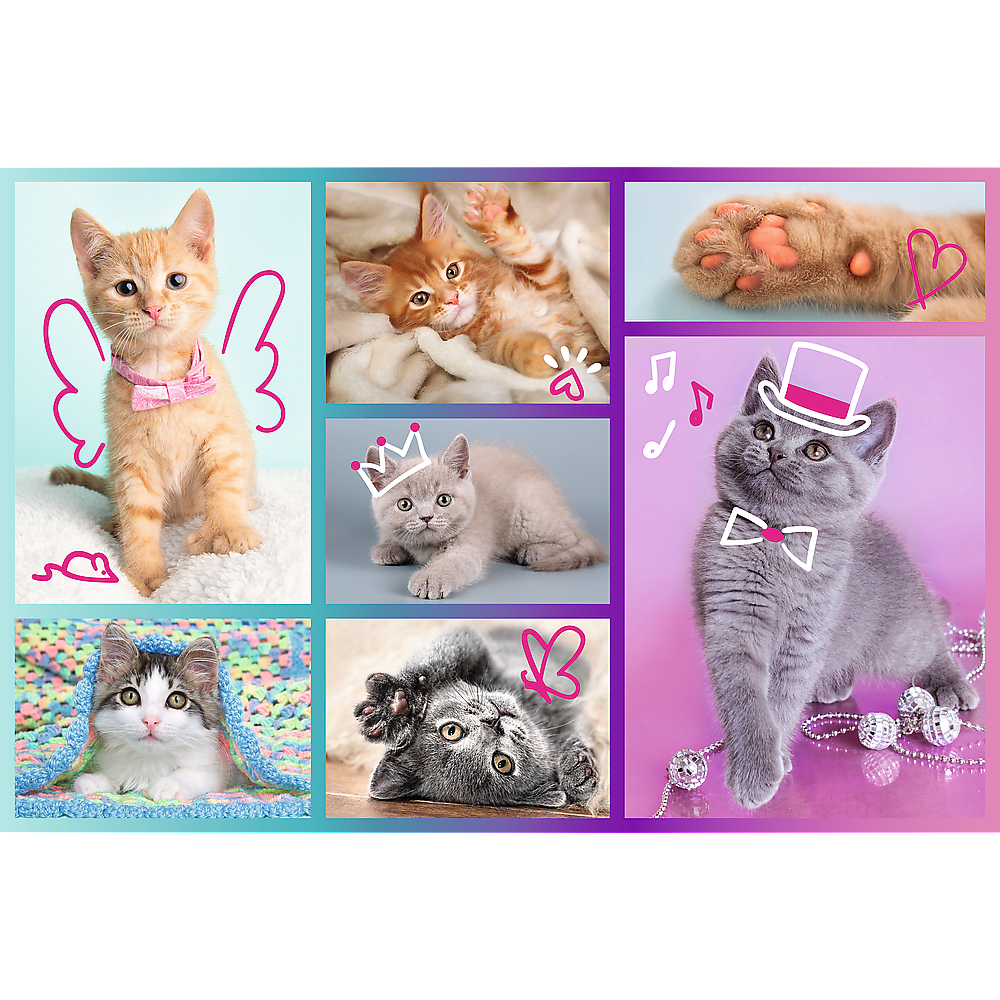 Puzzle Gatinhos 60pcs