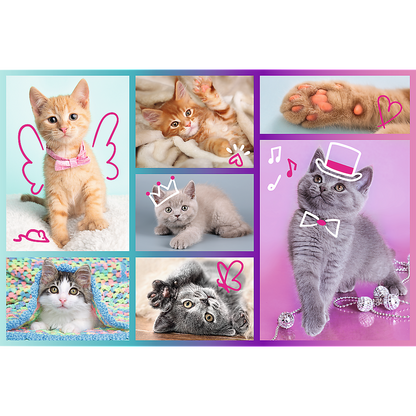 Puzzle Gatinhos 60pcs