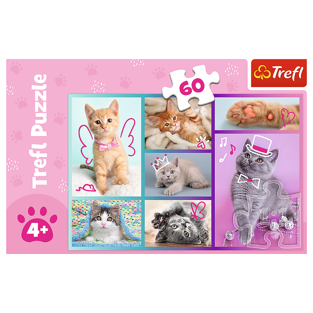 Puzzle Gatinhos 60pcs