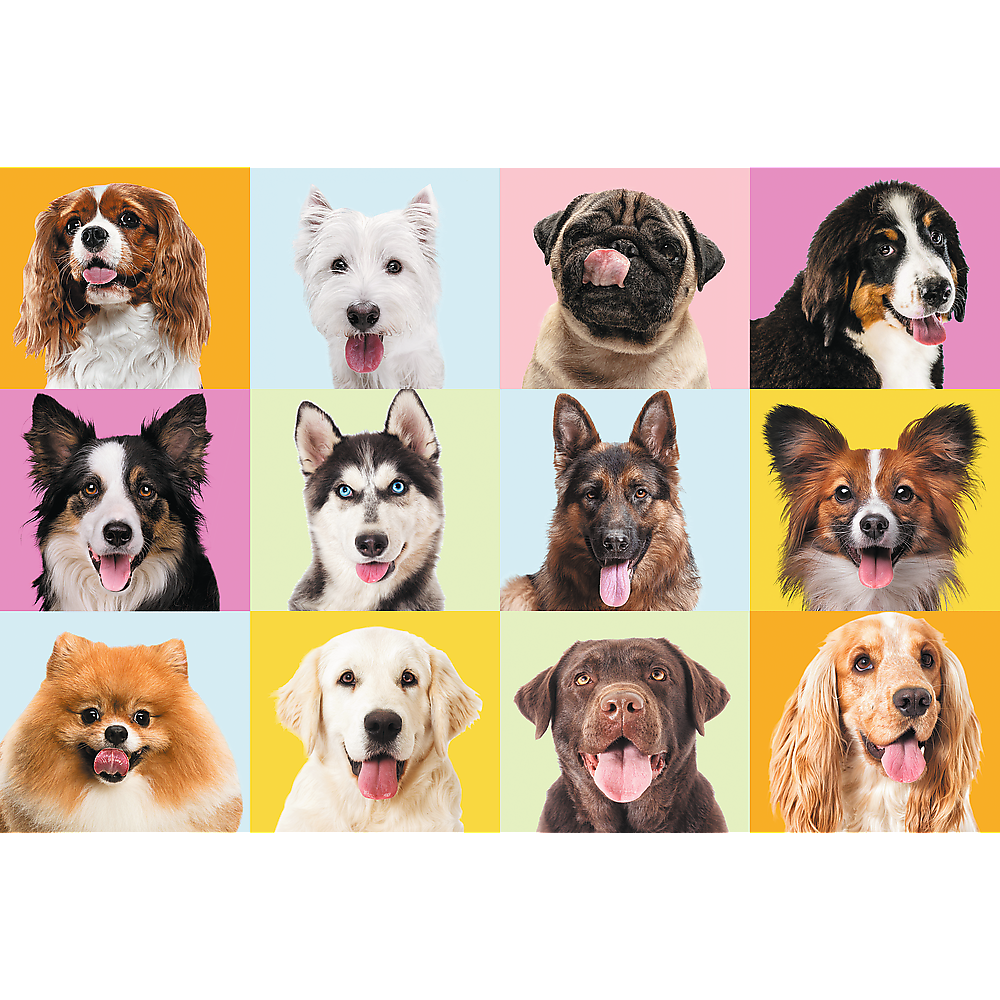 Puzzle Cachorrinhos 60pcs