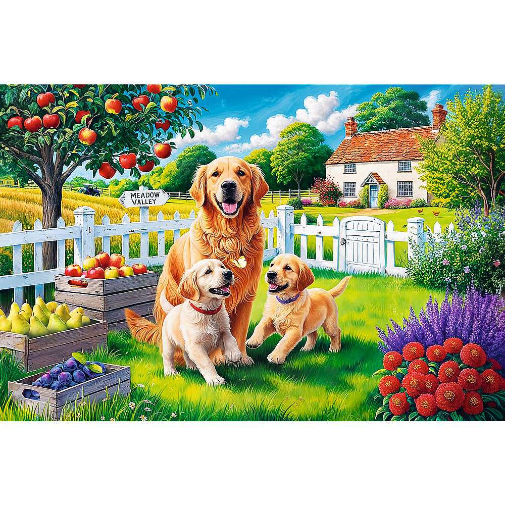Puzzle Cães no Campo 300pcs Trefl 23101