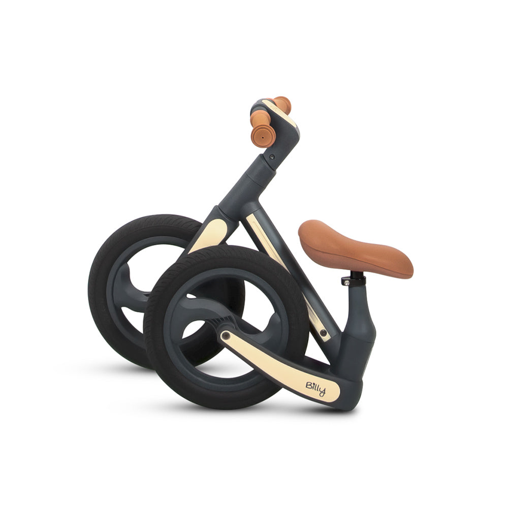 Bicicleta de equilíbrio Camini Gray Billy