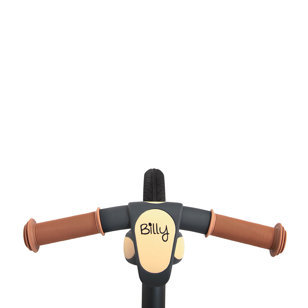 Bicicleta de equilíbrio Camini Gray Billy