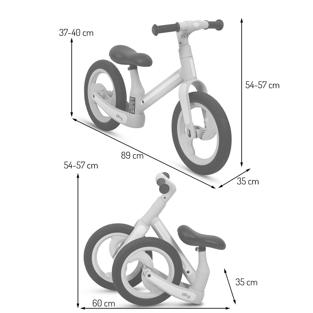 Bicicleta de equilíbrio Camini Gray Billy