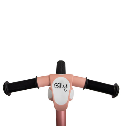 Bicicleta de Equilíbrio Camini Pink Billy