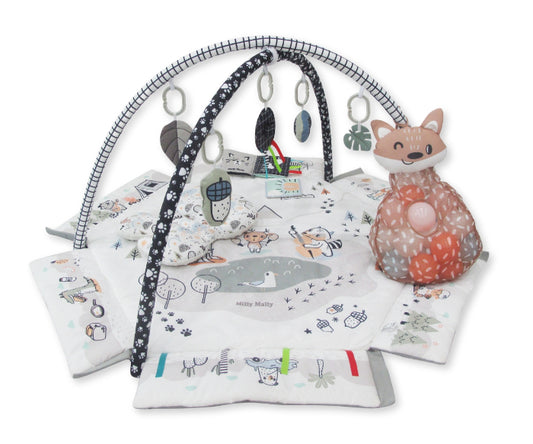 Tapete de brincar 5 em 1 Milly Mally Minky