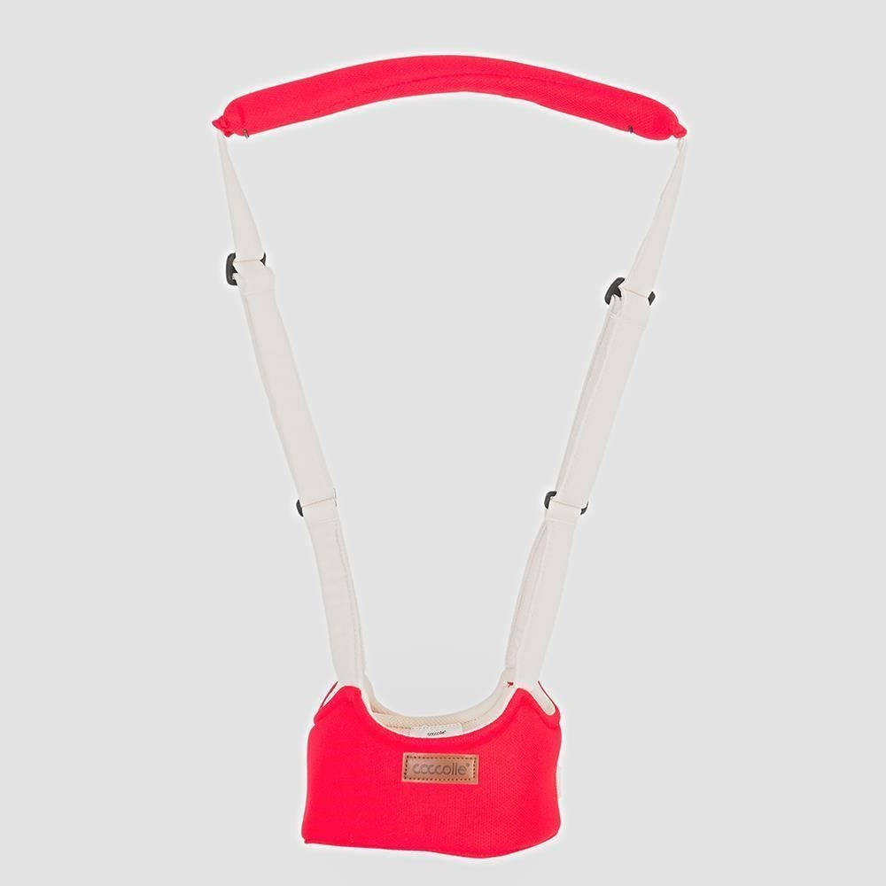 Coccolle Suspensários educativos Celso Red