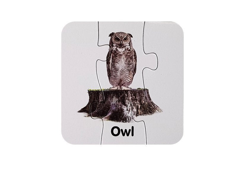 Puzzle educativo animais selvagens inglês 10 ligações