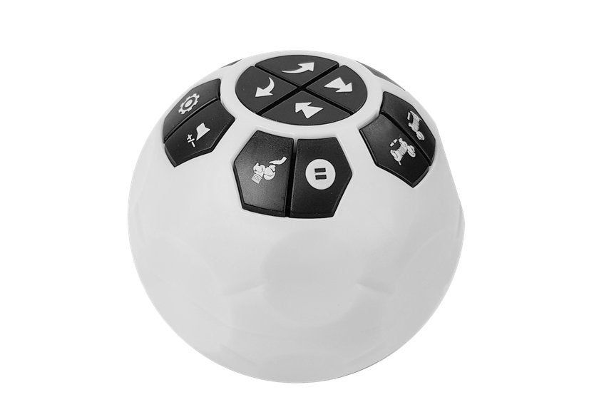 Cão robot interativo telecomandado com bola e sons