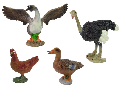 Quinta Animais agricultor aves