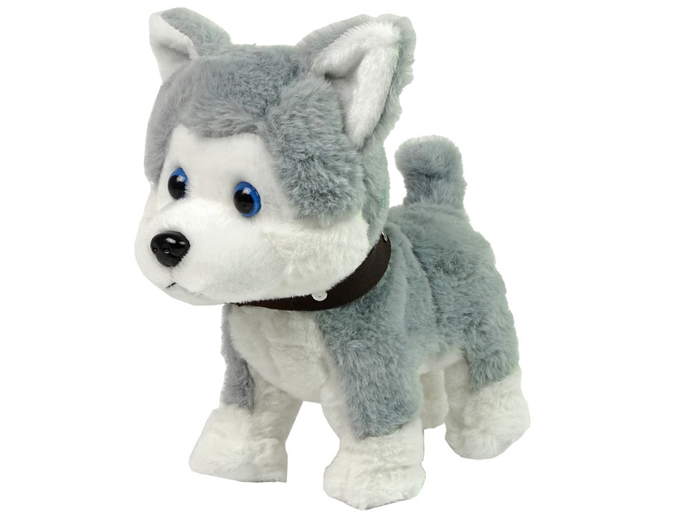 Cão peluche interativo com trela sons e caminhada