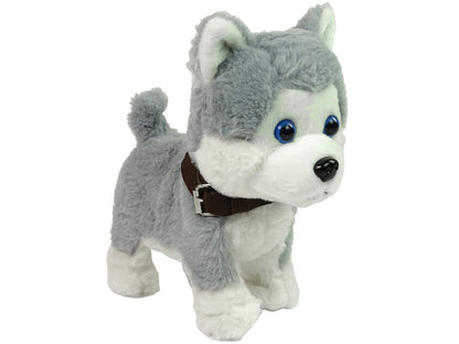 Cão peluche interativo com trela sons e caminhada