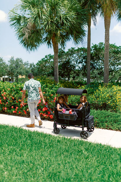 Pega de puxar opcional da série W