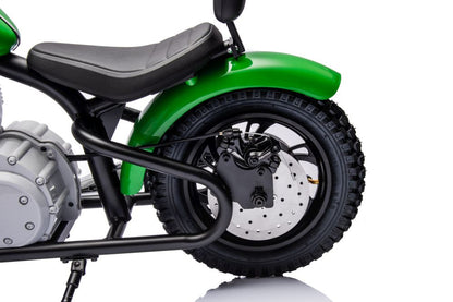 Moto elétrica A9902 36V verde