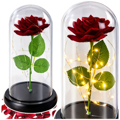 Rosa Eterna Vermelha em Cúpula de Vidro LED Base Preta 21x11 cm