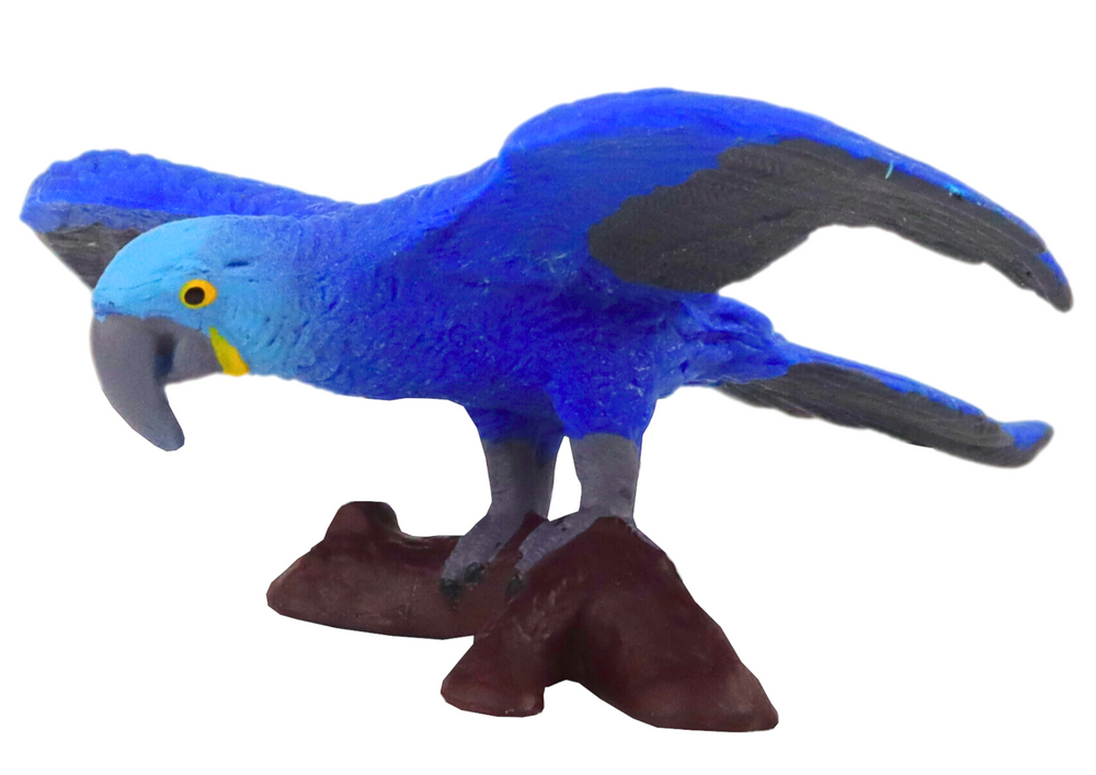 Grande Tucano, coleção Animais do Mundo
