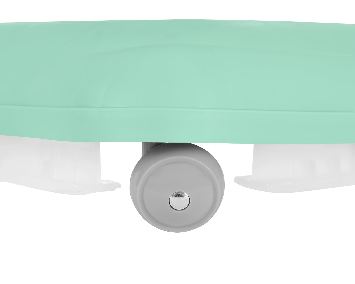 Andador de menta enevoado 2023