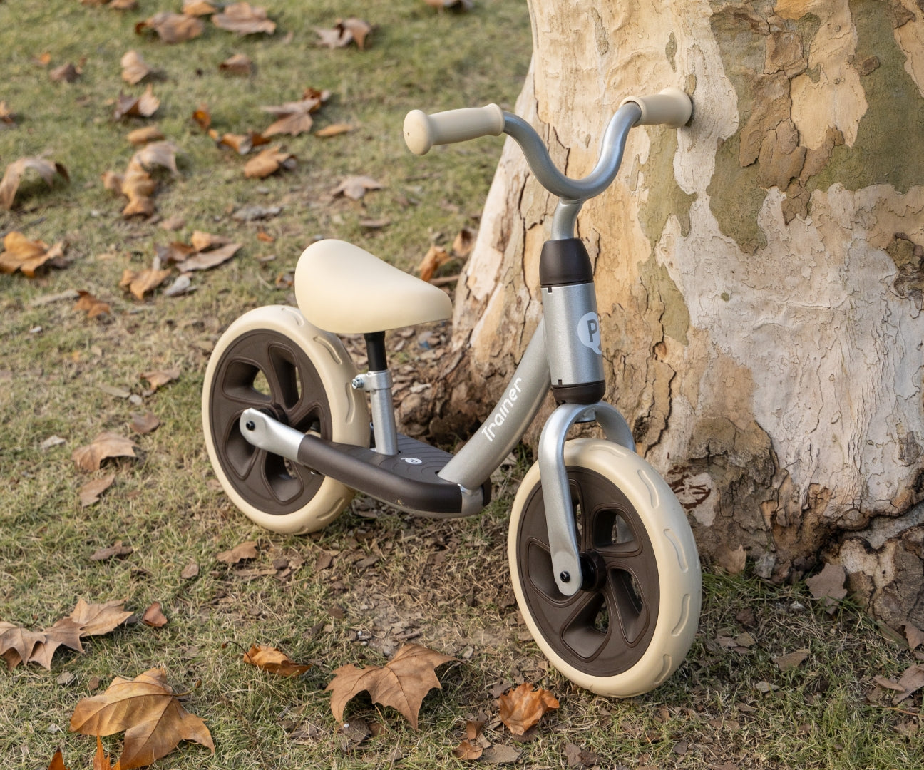 Bicicleta De Cross-Country Trainer Prata Qplay