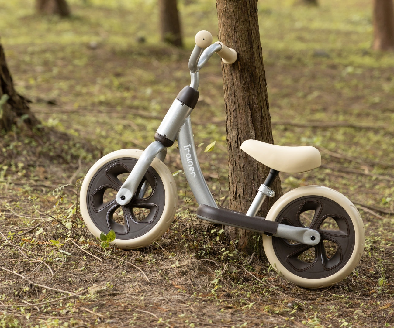 Bicicleta De Cross-Country Trainer Prata Qplay