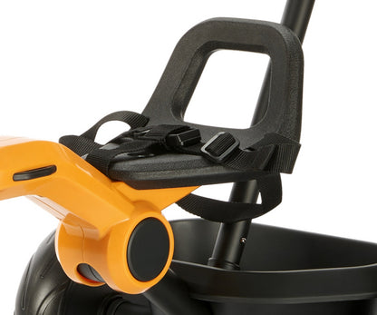 Triciclo Ant Plus Amarelo Qplay