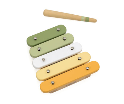 Conjunto De Música Pássaro Viga